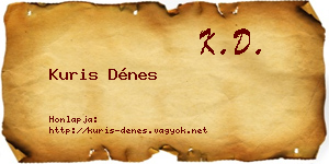 Kuris Dénes névjegykártya